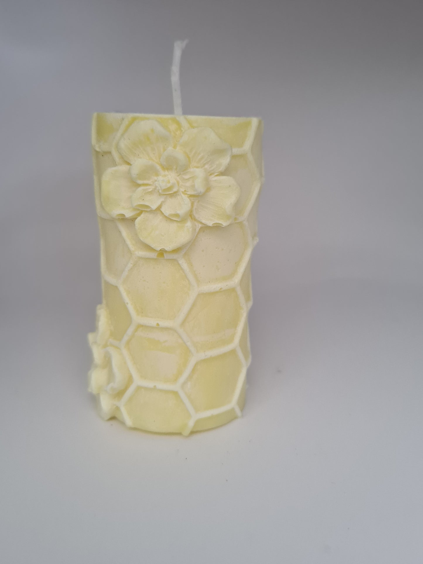 Bijenkorf met lemongeur