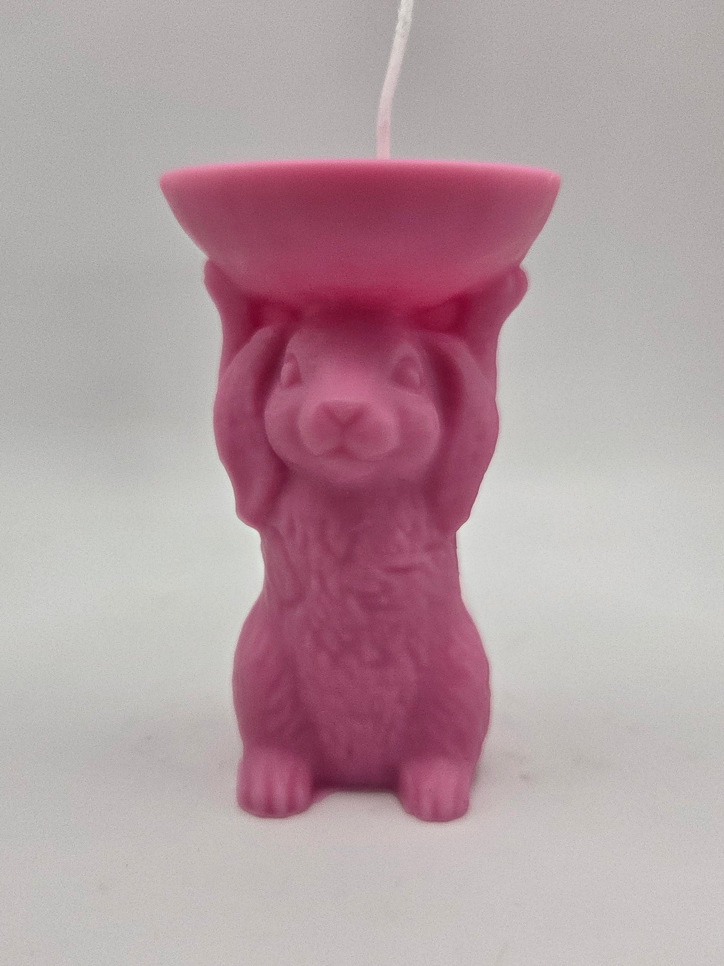 Roze paashaas