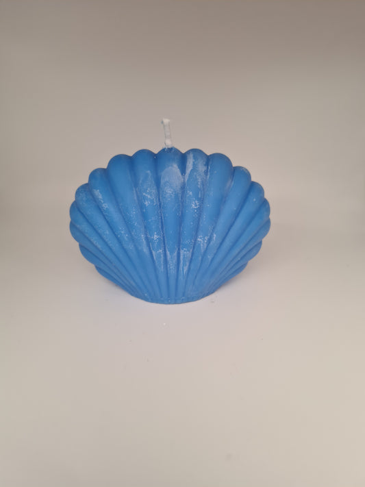 Blauwe schelp