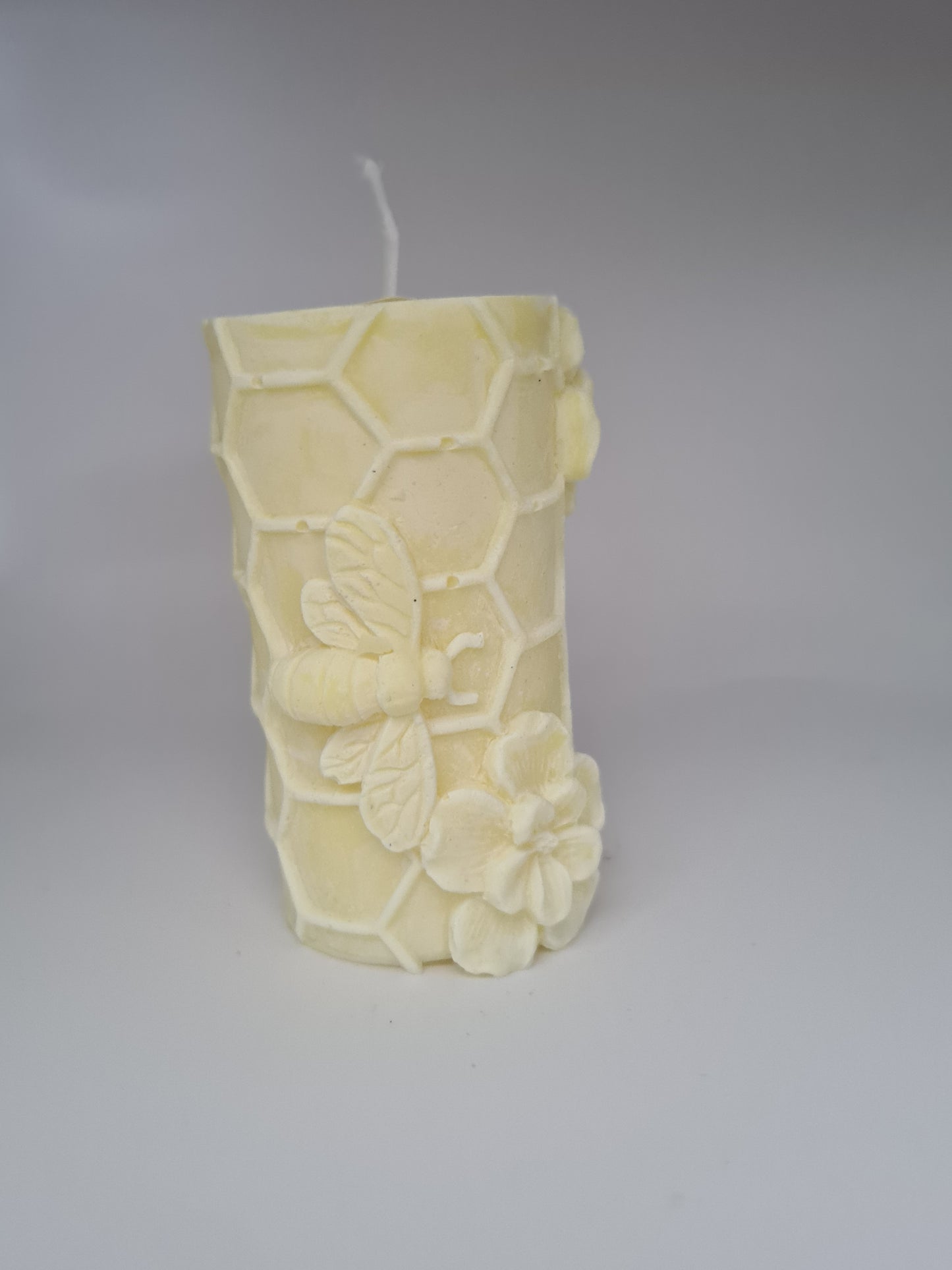 Bijenkorf met lemongeur