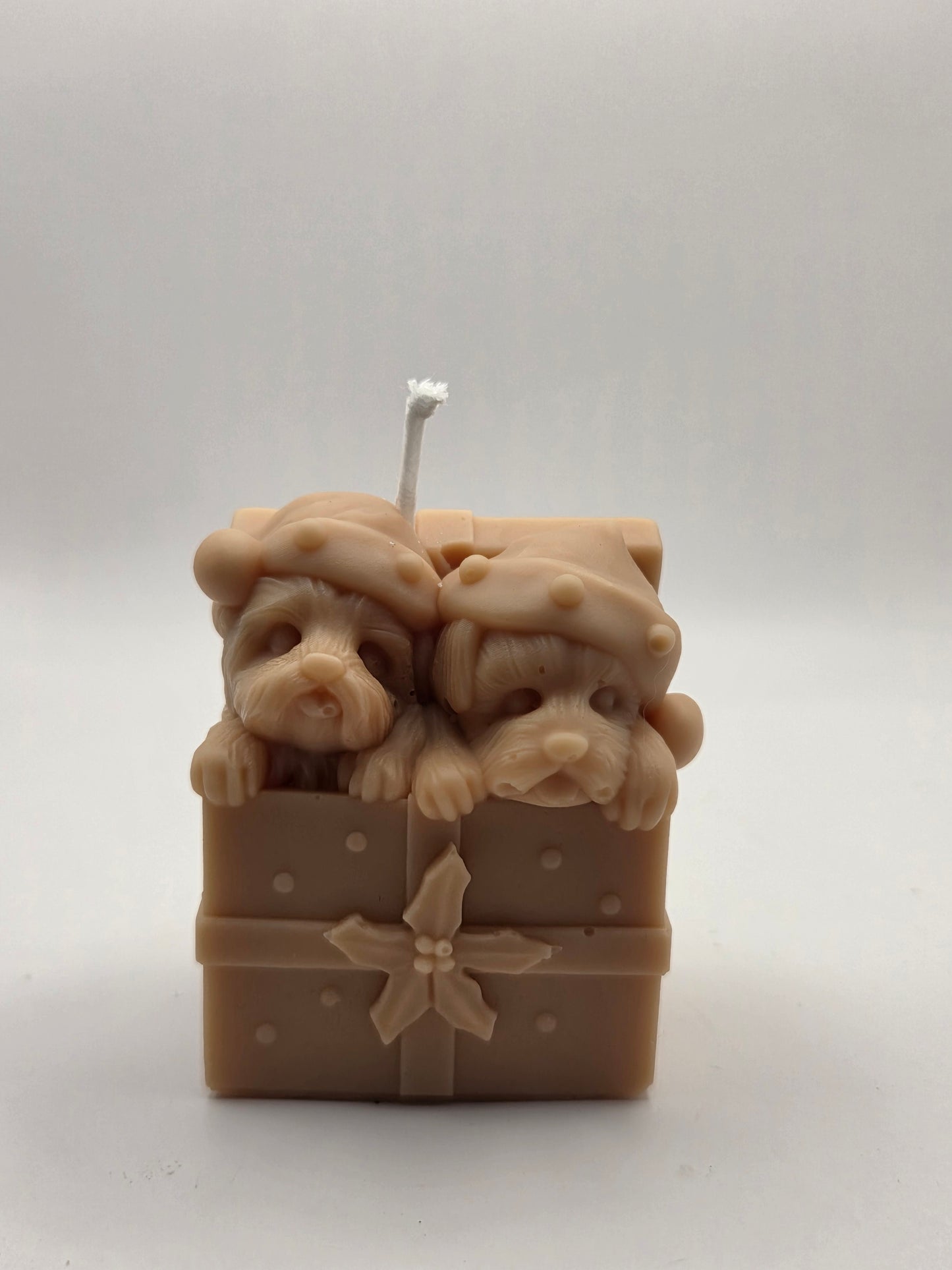 Hondjes in een kerstdoosje