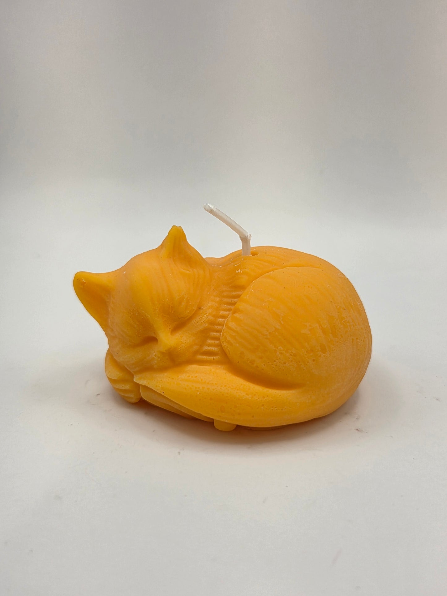 Gele kat