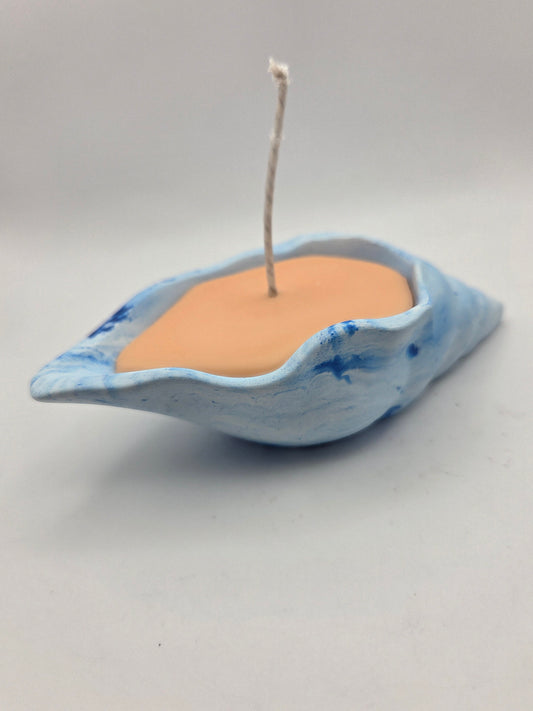 Kleine blauwe schelp