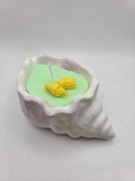 Witte schelp met vanillegeur